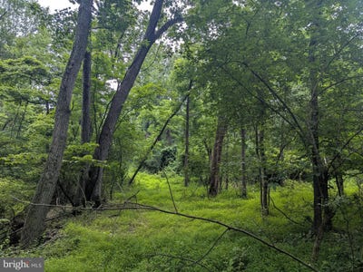 /international/us/6-1-and-1-57-acres-chestnut-hill-road-harpers-ferry-wv-110100206804/?lang=zh-tw