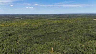 /international/us/80-acres-clausen-rd-prentice-wi-110108230684/
