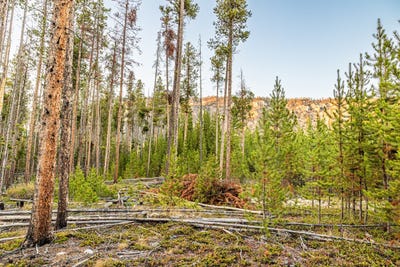 /international/us/harris-road-lot-2-tbd-anaconda-mt-110099984511/