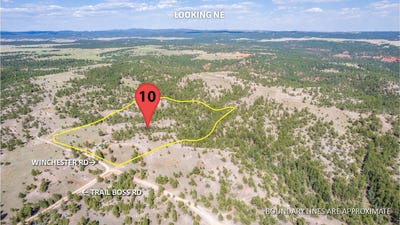 /international/us/26666-winchester-road-custer-sd-110107721880/