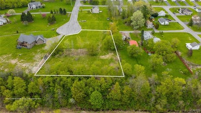 /international/us/will-new-boulevard-canastota-ny-110107799432/