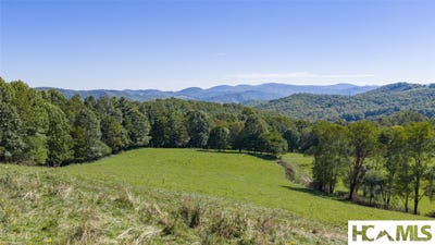 /international/us/2787-charleys-creek-road-tuckasegee-nc-110119932421/