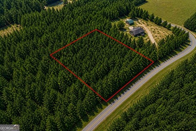 /international/us/1-3-acres-walter-phillips-road-hazlehurst-ga-110107304931/