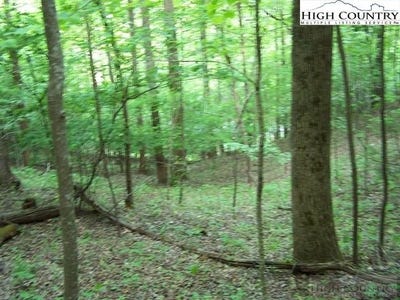 /international/us/powder-horn-mountain-road-deep-gap-nc-110100726318/
