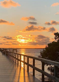 /international/us/2602-edgewater-court-palmetto-fl-110101523270/?lang=en
