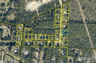 /international/us/pickens-cir-baker-fl-110107463609/