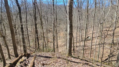 /international/us/bufflick-road-clendenin-wv-110106727554/
