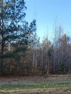/international/us/county-road-5-union-springs-al-110119440588/