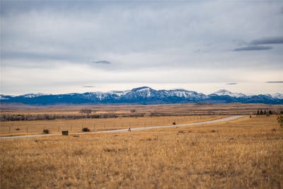 /international/us/nhn-mountain-view-drive-choteau-mt-110108540729/