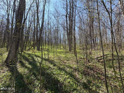 /international/us/adj-216-rock-cut-road-central-city-pa-110108179773/