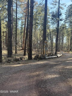 /international/us/212-56-060f-lakeside-az-110107244764/