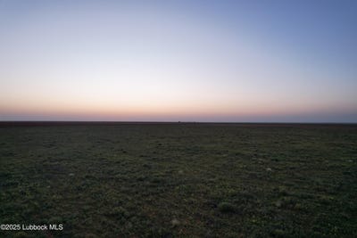 /international/us/0-us-highway-385-levelland-tx-110100340875/?lang=zh-tw
