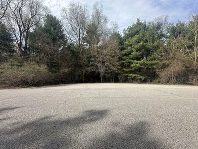 /international/us/v-l-2-white-pine-drive-hart-mi-110099045360/