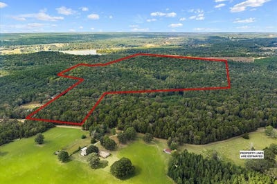 /international/us/634-county-road-176-san-augustine-tx-110105928773/