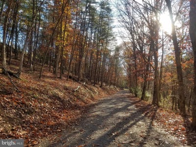 /international/us/church-hollow-road-romney-wv-110089330081/