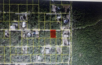 /international/us/ne-235th-street-lot-19-fort-mc-coy-fl-110110379900/