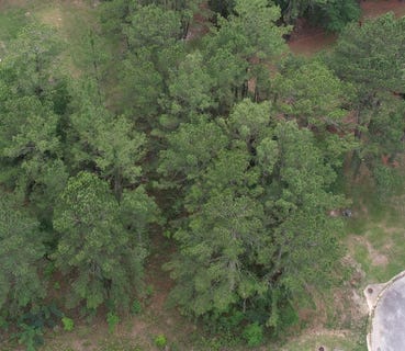 /international/us/115-mary-s-ct-lot-30-13-ochlocknee-ga-110108299104/