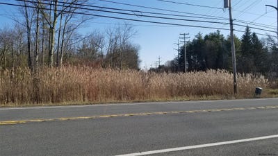 /international/us/l9-1-new-york-state-route-50-ballston-spa-ny-110089050900/