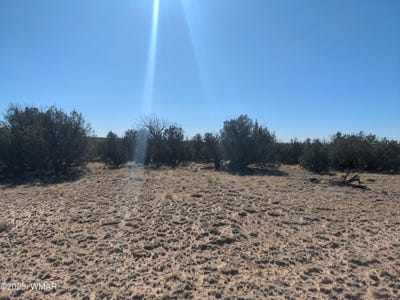 /international/us/lot-35-6718-st-johns-az-110100511116/