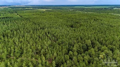 /international/us/19-58-sage-forest-ln-pace-fl-110101020918/