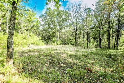 /international/us/6302-upper-byrnes-mill-byrnes-mill-mo-110102445685/