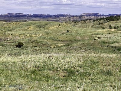 /international/us/davis-road-miles-city-mt-110107051343/