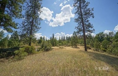 /international/us/171-n-miner-st-weaverville-ca-110101368192/?lang=zh-tw
