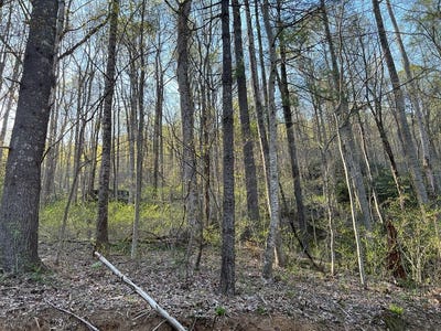 /international/us/tbd-briar-rock-trail-fancy-gap-va-110086418214/?lang=it