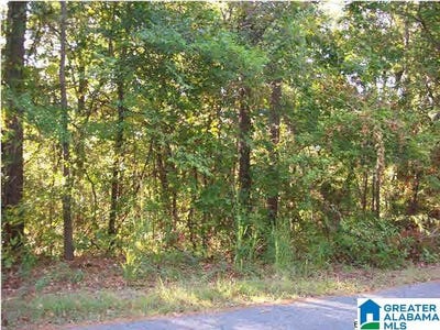 /international/us/0-haven-circle-riverside-al-110073773464/