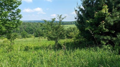 /international/us/hubbard-hill-road-maryland-ny-110100341667/?lang=zh-tw