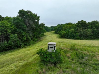/international/us/buffalo-road-new-concord-ky-110109825282/