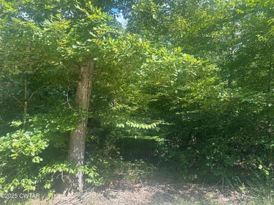 /international/us/233-mount-view-estates-lane-holladay-tn-110101246016/?lang=fr