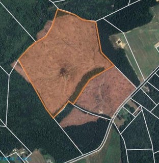 /international/us/plainview-lane-shacklefords-va-110103299341/