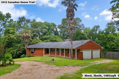 /international/us/1612-canadian-geese-trail-tallahassee-fl-110099863075/