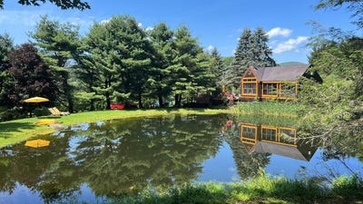 /international/us/226-crystal-meadows-rd-downsville-ny-110100679856/