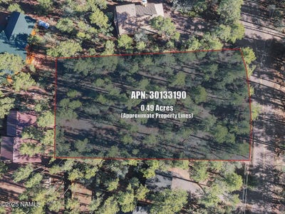 /international/us/110-w-bradshaw-drive-pine-az-110103696748/
