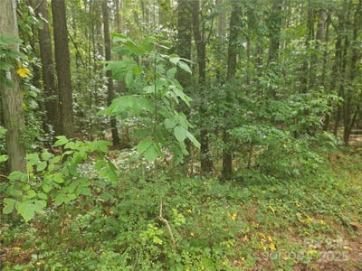 /international/us/1940-orrs-station-road-unit-11-chester-sc-110101125515/?lang=zh-cn