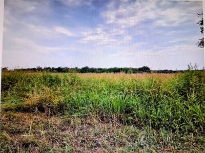 /international/us/3615-county-road-lot-10-acres-honey-grove-tx-110120537219/