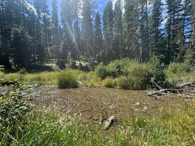 /international/us/1325-highway-150-taos-ski-valley-nm-110119686690/
