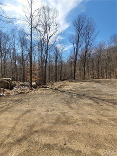 /international/us/115-mohawk-drive-old-forge-ny-110107165660/