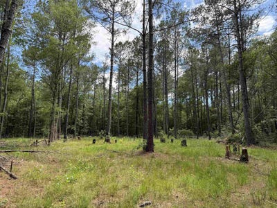 /international/us/17-8-acres-5871-pennyroyal-rd-georgetown-sc-110108300535/