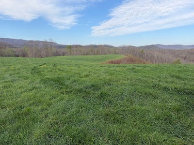/international/us/1999-snake-run-rd-alderson-wv-110107376561/