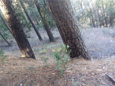 /international/us/0-el-valle-road-cedarpines-park-ca-110039603743/?lang=zh-tw
