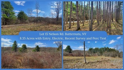 /international/us/lot-15-nelson-road-butternuts-ny-110099375195/?lang=zh-tw