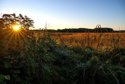 /international/us/20-winnocks-neck-road-scarborough-me-110110209232/