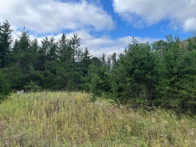 /international/us/1707-hassman-hill-tract-d-road-sw-pine-river-mn-110098352778/