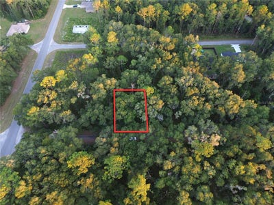 /international/us/sequoia-loop-track-ocklawaha-fl-110120090882/