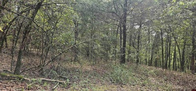 /international/us/001-07553-000-cr-638-mountain-home-ar-110103068287/