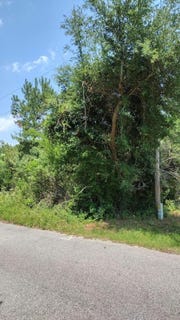 /international/us/00-lot3-meagen-lane-manning-sc-110077737519/