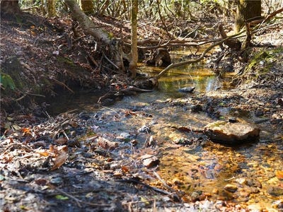 /international/us/flagstone-way-lowgap-nc-110107309751/